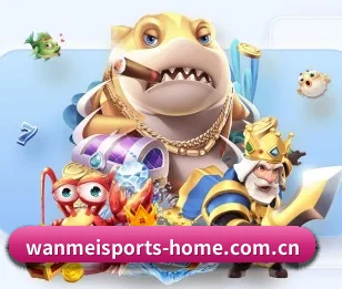完美体育官方的故事(WANMEISPORTS)